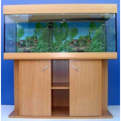 aquarium mondina 450 litres