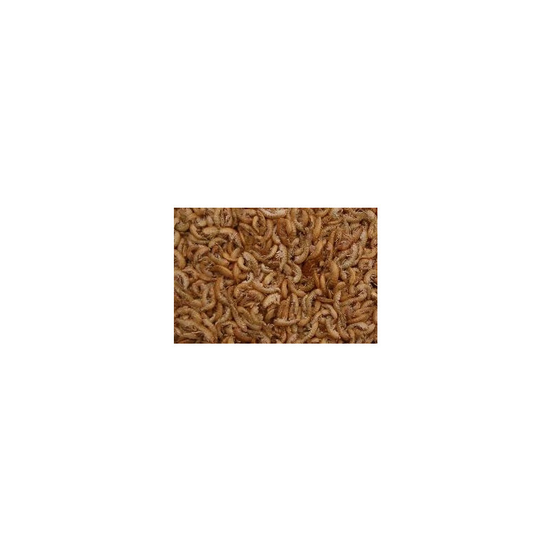 Gammarus lyophilise 1 Litre. Gammarus lyophilise 1 Litre.