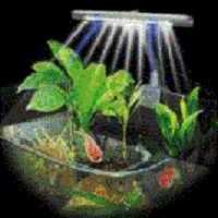 lampes d'éclairage pour aquarium de haute qualité | Jm Distribution